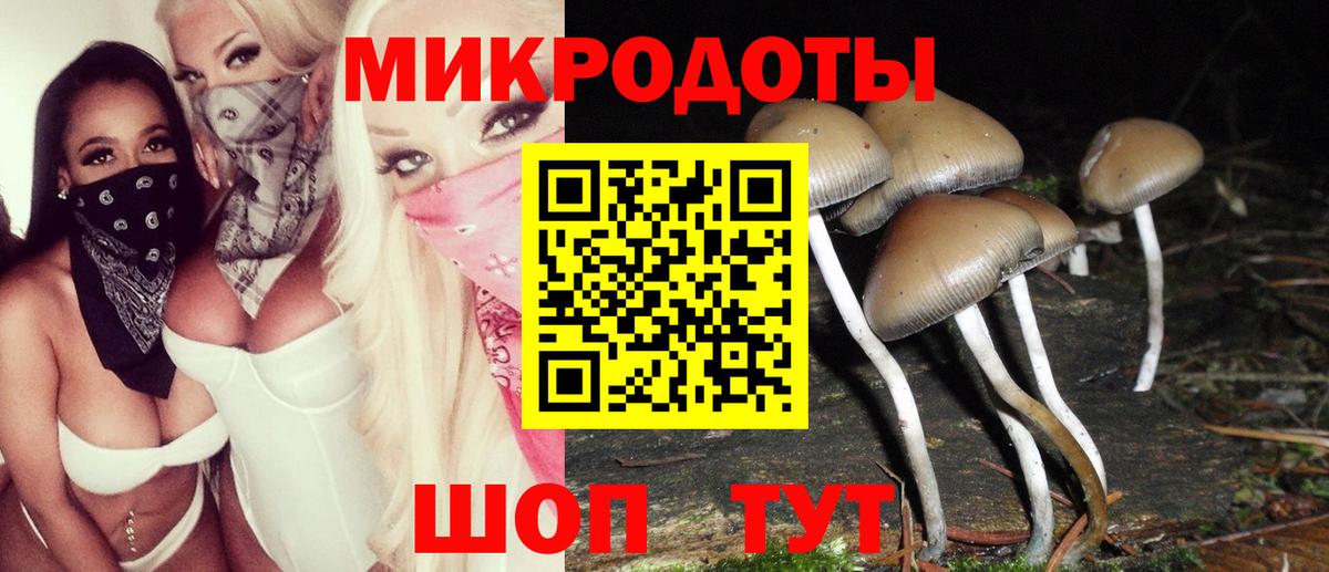 Псилоцибиновые грибы GOLDEN TEACHER  Вход с VPN  Галлюциногенные грибы ЛСД  наркошоп  Кыштым 